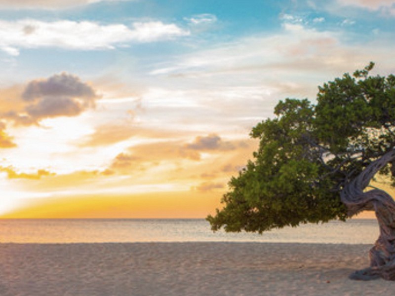 Aruba1